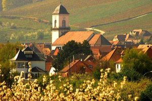 khu-vuc-san-xuat-ruou-vang-noi-tieng-cua-phap-1