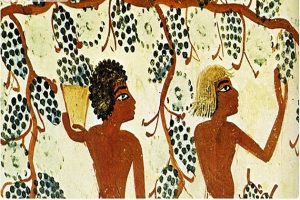 Lịch sử về rượu vang Pháp ngon thế giới