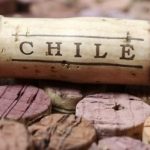 nut chai vang chile