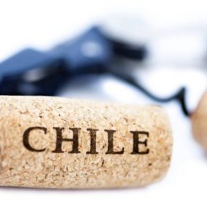 ruou vang chile 365x365 1