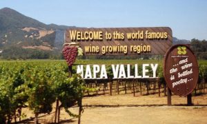 ruou vang my napa valley