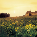 thung lung nho loire