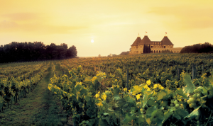 thung lung nho loire