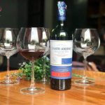 vang chile canto andino reserve