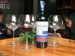 vang chile canto andino reserve