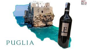 vùng nho Puglia