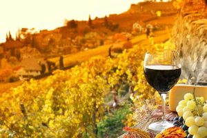 vung-ruou-vang-tay-ban-nha-ngon-2