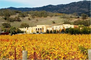 Vùng trồng nho Rhône Pháp