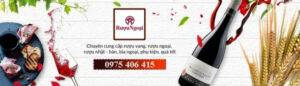 Rượu Ngoại Hà Nội