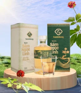 Rượu Sâm Ngọc Linh có tác dụng gì?