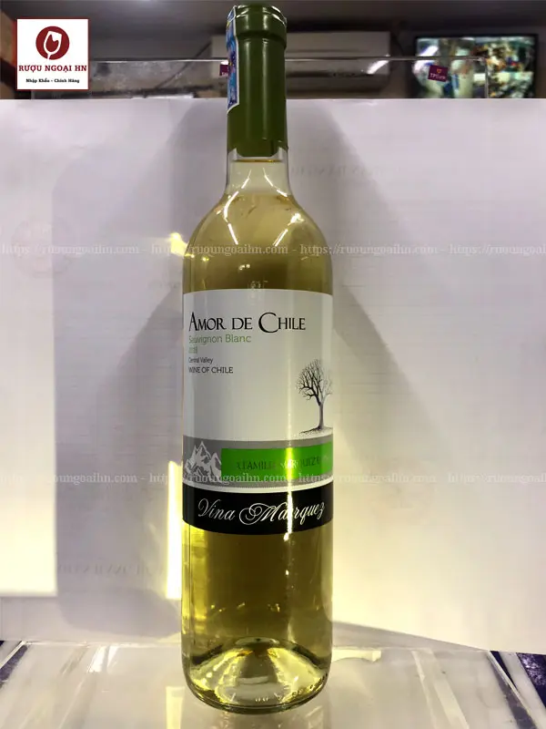 Vang Amor de Chile Sauvignon Blanc