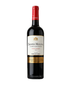 Vang Chile Santo Molina Cabernet Sauvignon