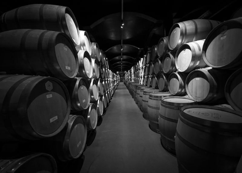 Hầm rượu vang Bordeaux với thùng gỗ sồi